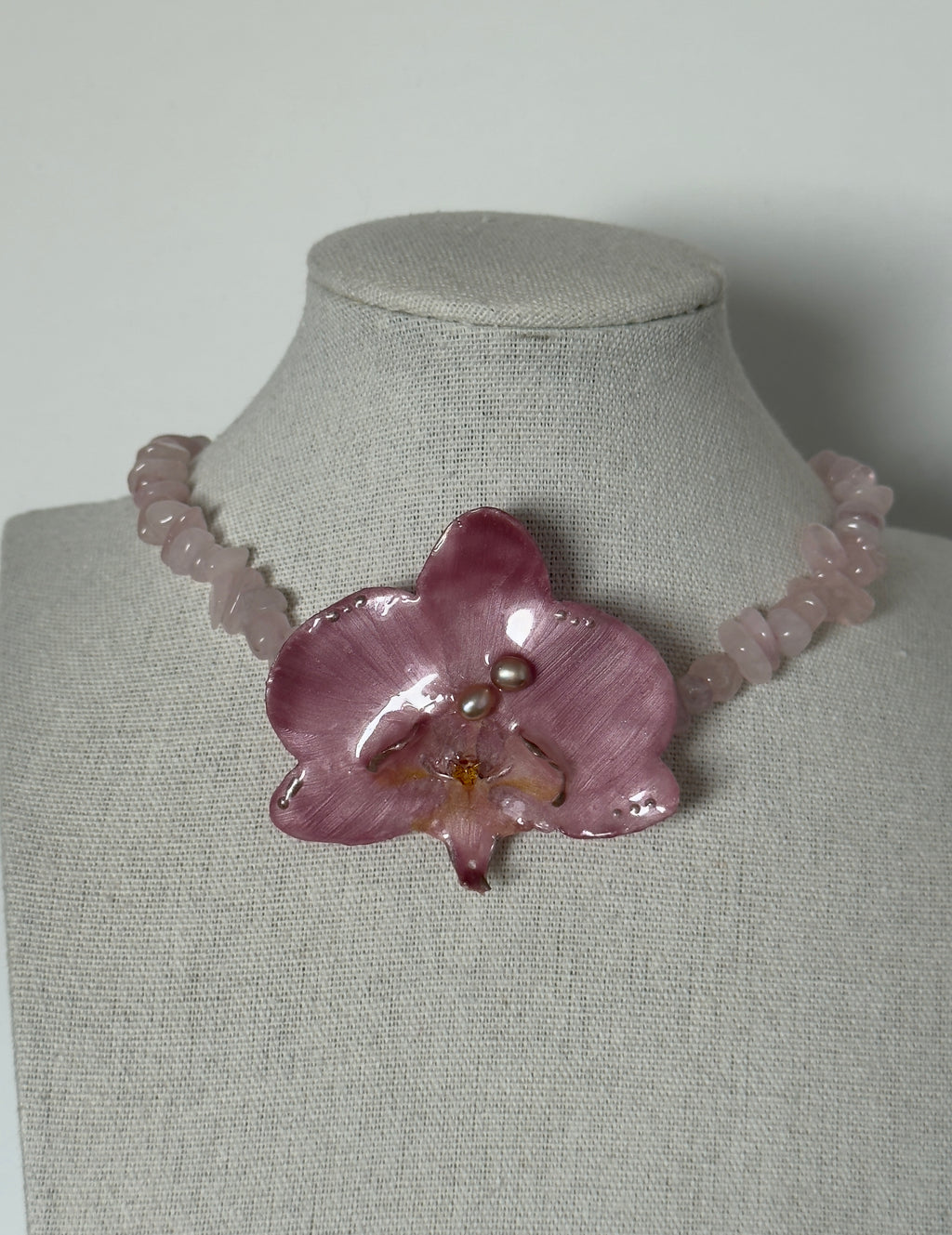 Blush Orchid Reverie