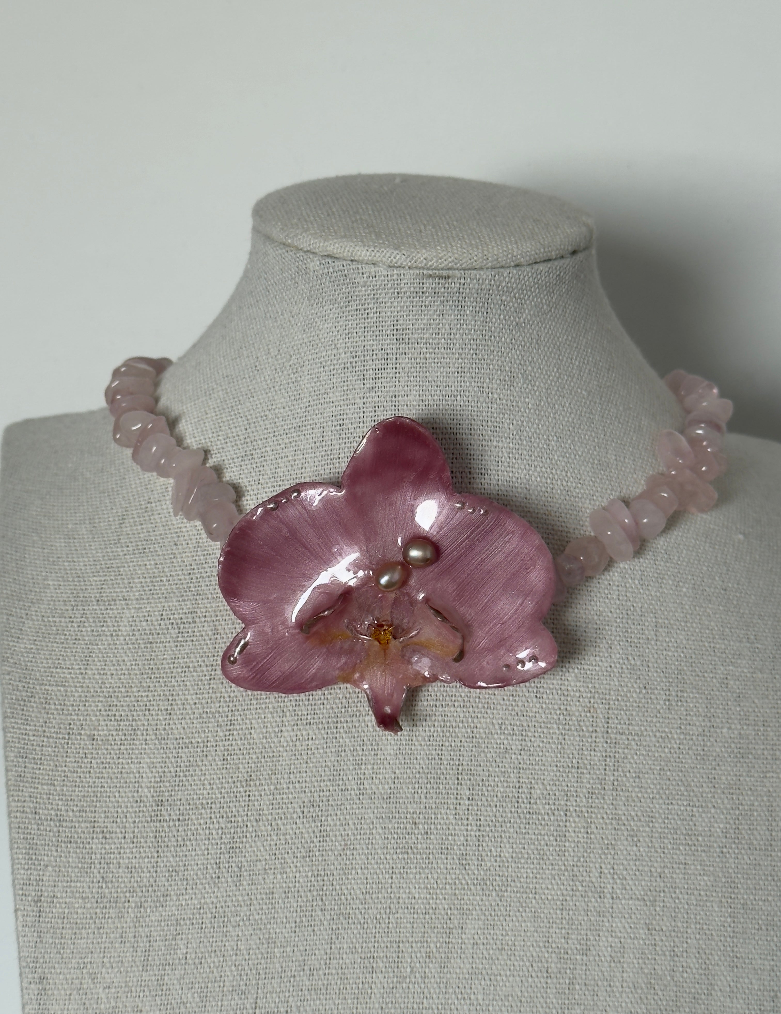 Blush Orchid Reverie