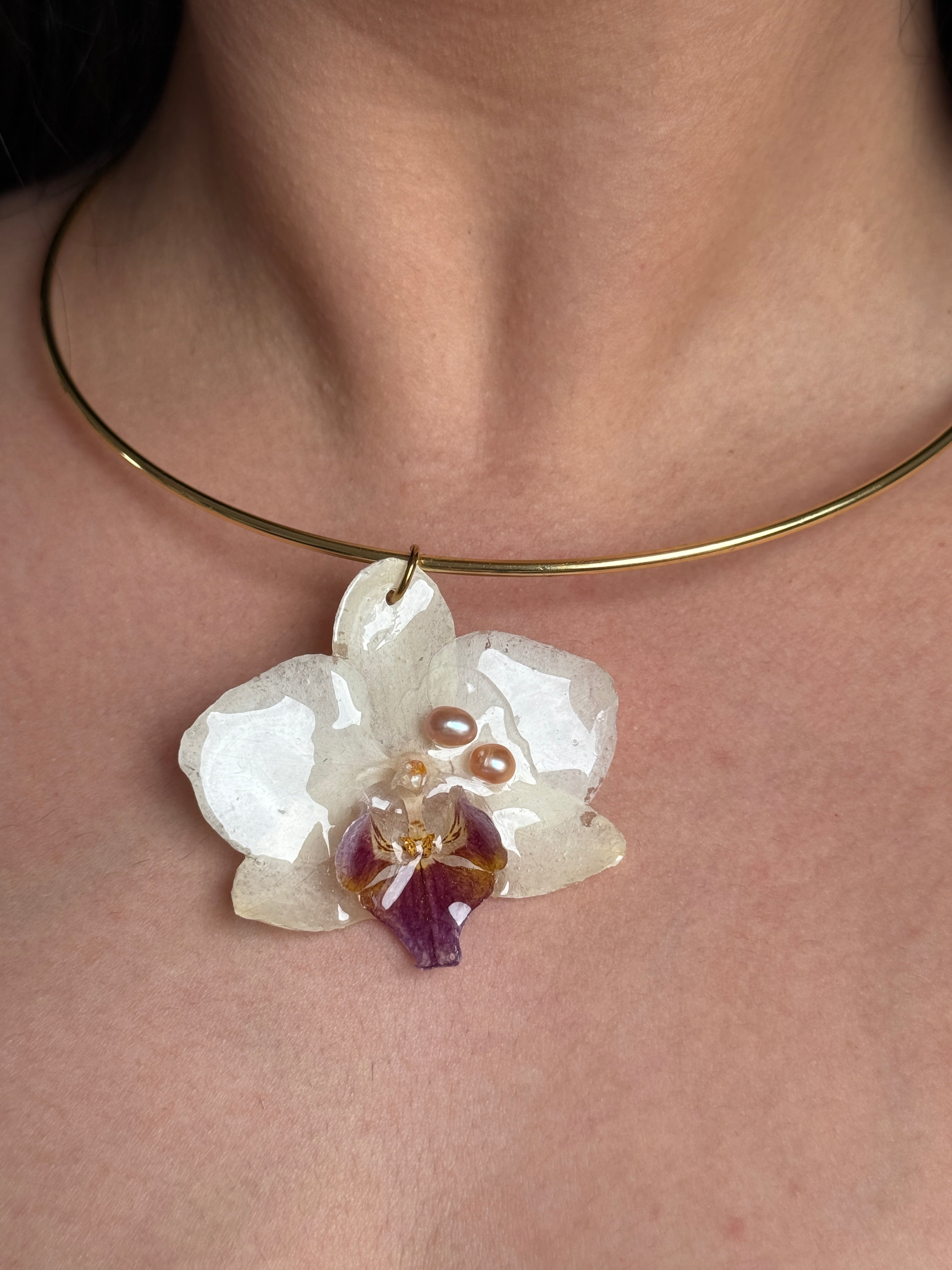 Ivory Orchid Muse